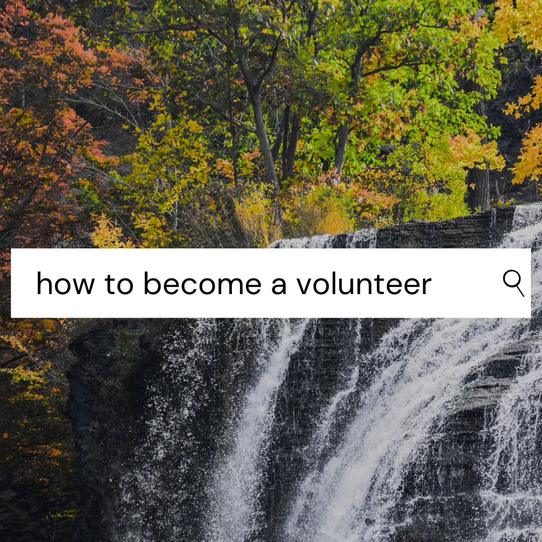 Image reading How to Become a Volunteer