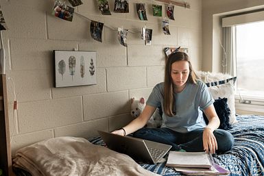 Image of a Student Studying